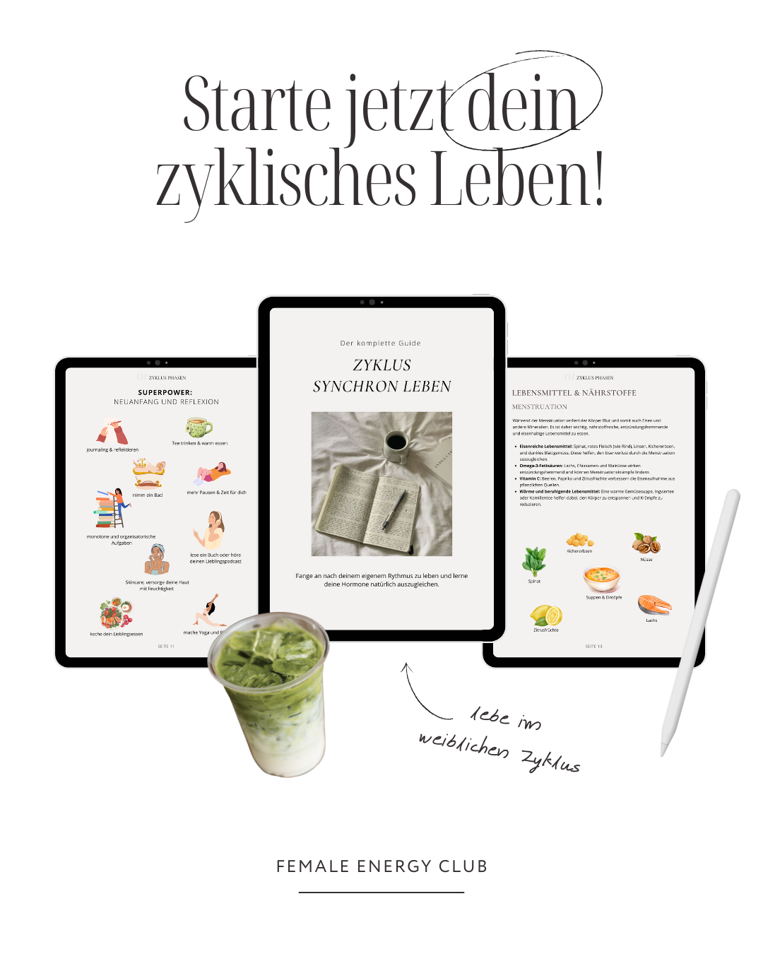 "Zyklus synchron leben" E-Book